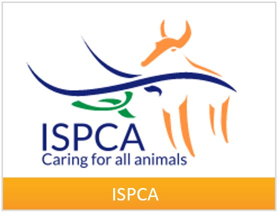 box-ispca-2.jpg box-ispca-2.jpg