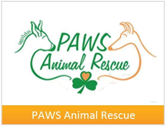 box-paws.jpg box-paws.jpg