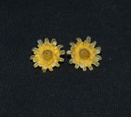 Dandelion Post Earrings