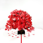 Red Maple Pop-Up Card