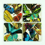 Butterfly Coaster, Set of 4
