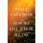 How We Live is How We die (pbk)