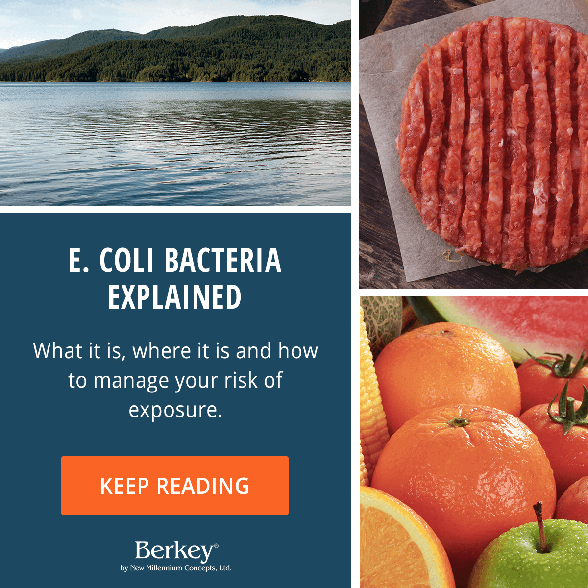E. Coli Bacteria Explained
