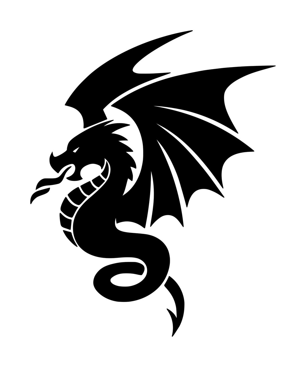teamspirit graphics dragons