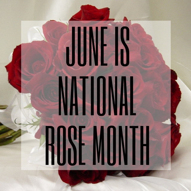 June is National Rose Month: Unique Ways to Celebrate - Enchanted ...