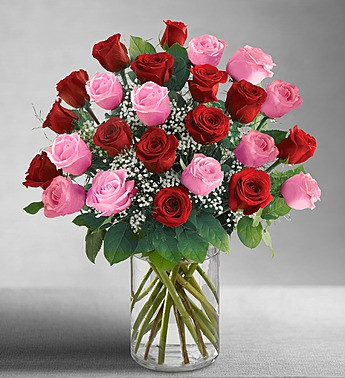 2 dozen roses