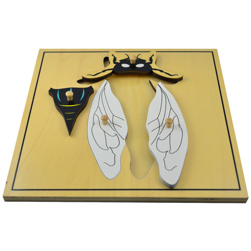 Fly Puzzle
