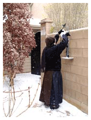 Feeding the birds in snowly weather feeding the birds