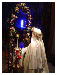 November Profession religous Profession, carmelite profession, profession day