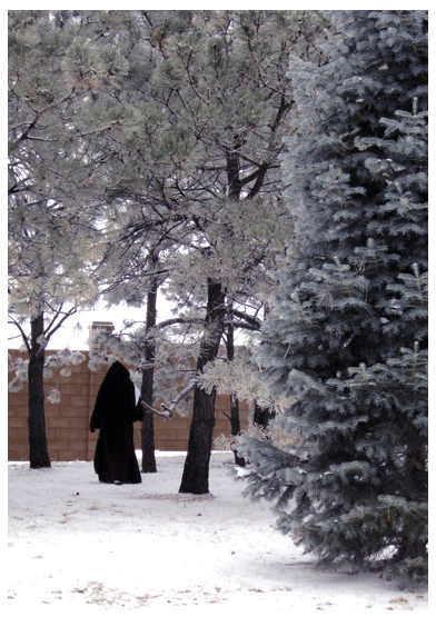 Sister walking in the snow Sister walking in the snow, carmelite sister walking