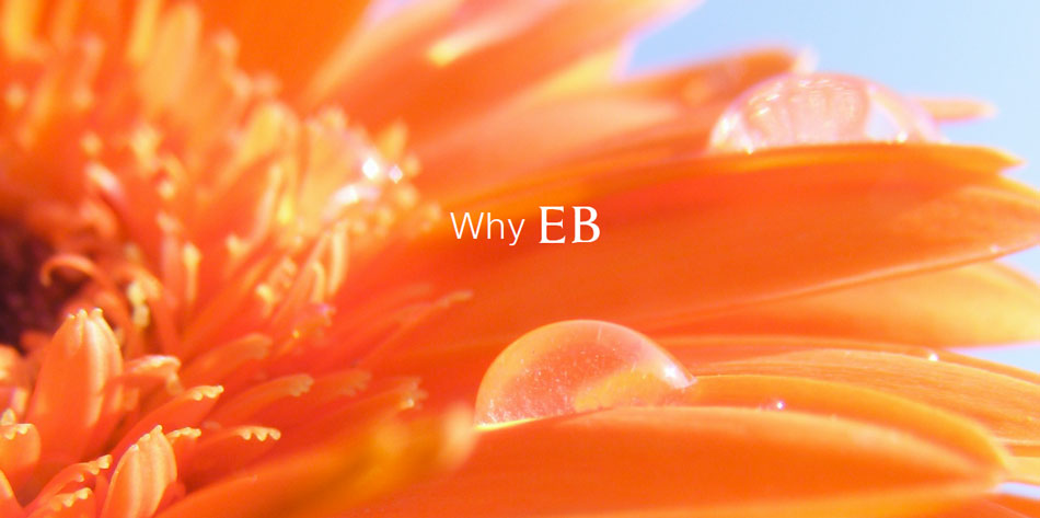 Why EB?
