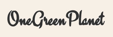 Pne Green Planet logo