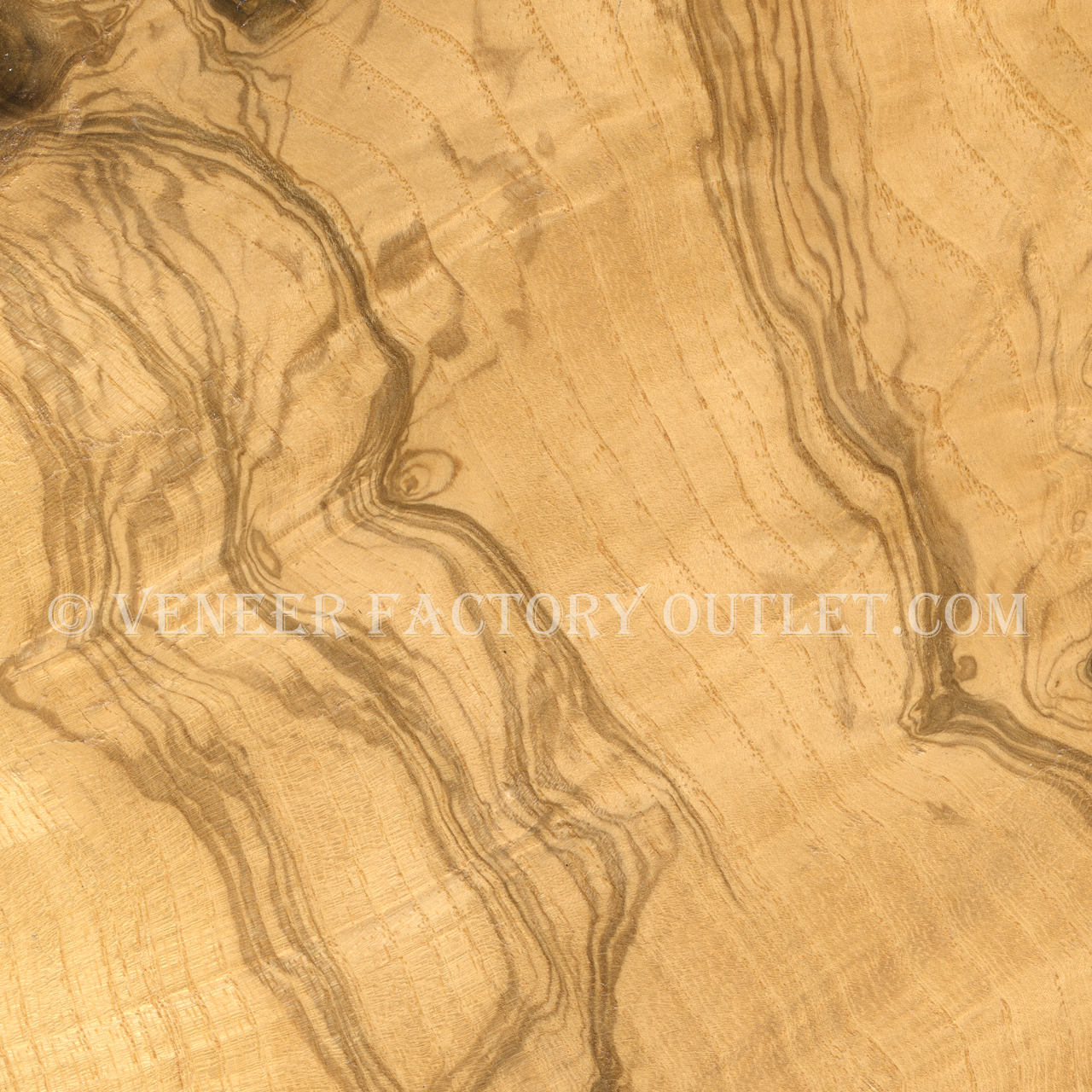 olive ash burl veneer savings olive ash burl veneer outlet com