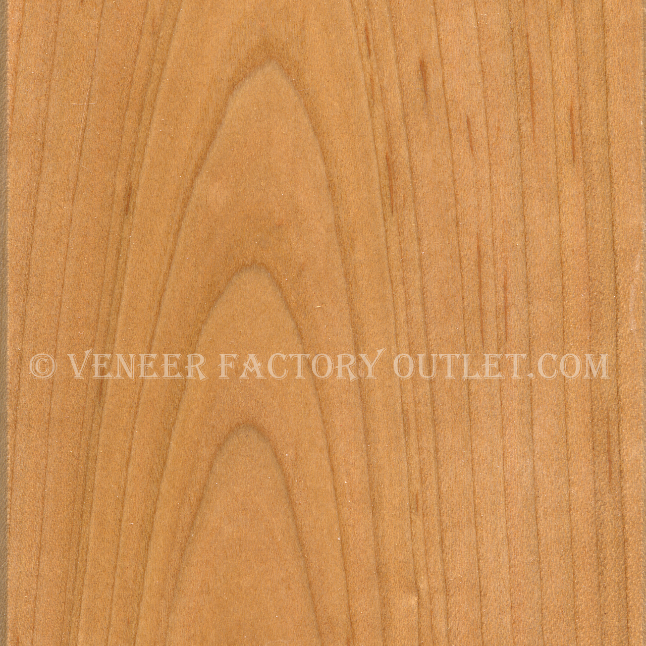 Teak 4' x 8' Veneer Sheet - Wood Veneer Sheets 