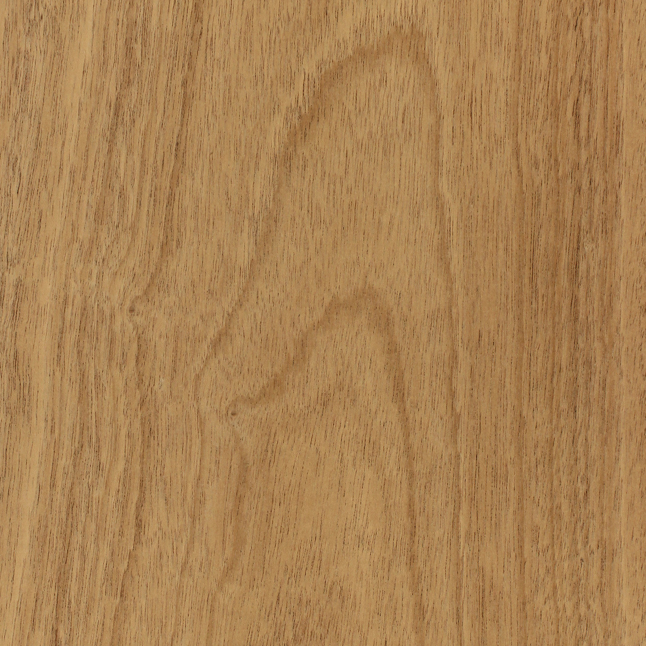 mahogany wood veneer