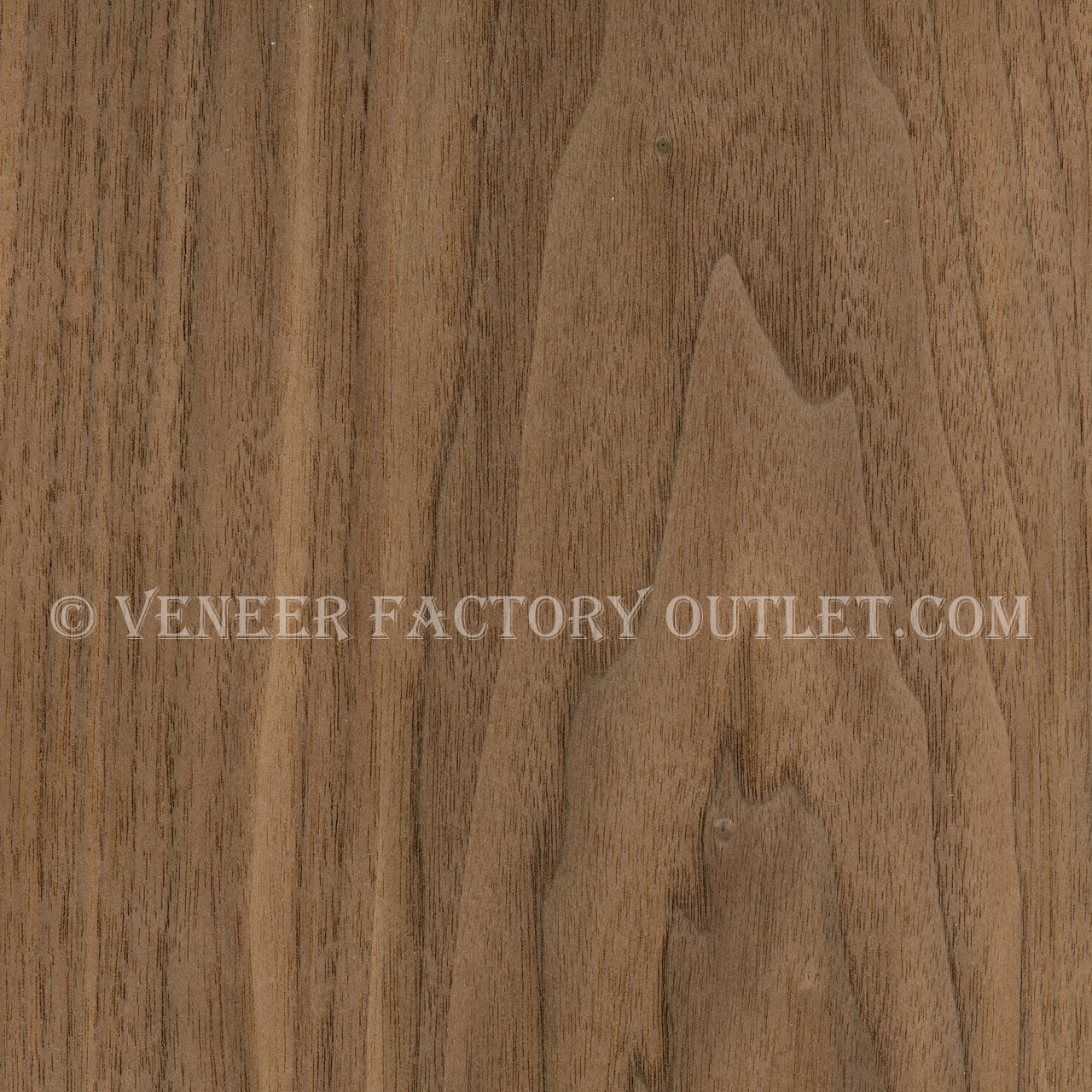 Walnut Raw Wood Veneer Sheet 8 x 28 inches 1/42nd or .6mm thick