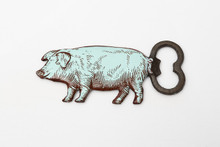 Blue Pig Cast Iron Bottle Opener