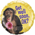 Get Well Soon says the Chimp!
