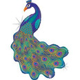 42" Glitter Peacock