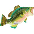 Cartoon Bass Fish