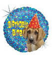 18" Birthday's Bite! Balloon