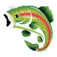 Rainbow Trout