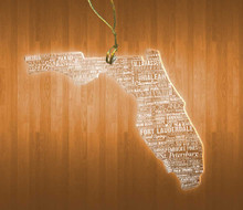Florida Acrylic State Ornament