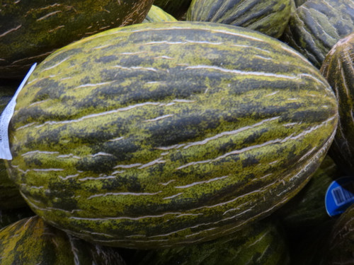 Piel De Sapo Melon Each Product of Australia | Fairdinks