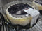 Blueberry Cheesecake 2.4KGS | Fairdinks