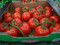 Truss Loose Tomatoes 2.5KG Product of Australia | Fairdinks