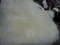 Windward Sheepskin Rug Size 180cm x 110cm | Fairdinks