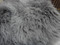 Windward Sheepskin Rug Size 180cm x 110cm | Fairdinks