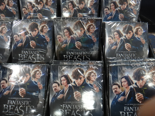 Fantastic Beasts and Where to Find Them DVD | Fairdinks