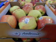 New Season Ambrosia Apples 2KG Product of Australia | Fairdinks
