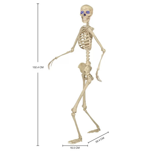 PoseNStay Skeleton With LED Eyes 5FT / 1.5M Fairdinks