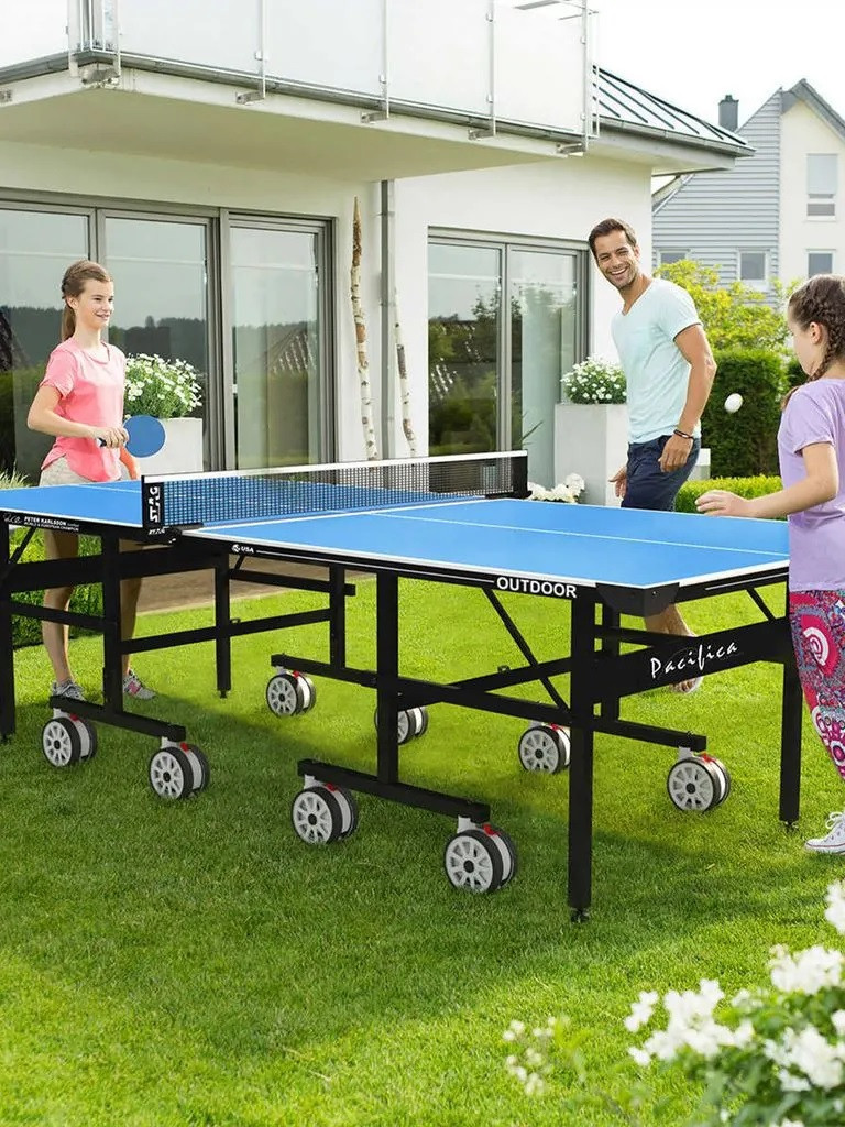 lifetime leisure ping pong