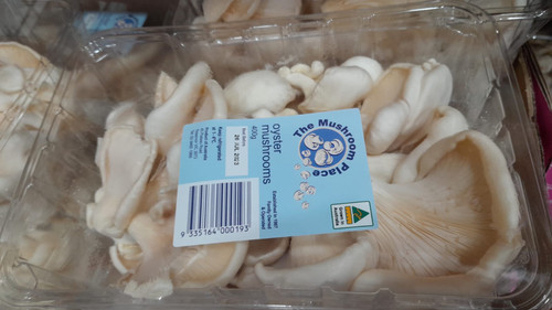 Oyster Mushrooms 400G Product of Australia | Fairdinks