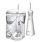 Waterpik Ultra and Cordless Plus Waterflosser Pack | Fairdinks