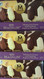 Magnum Variety 1.64L 16PK Passionfruit White Chocolate | Fairdinks
