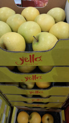 Yello Apple 1.8KG Product of Australia | Fairdinks