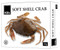 KB's Soft Shell Crab 1KG | Fairdinks