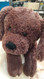 Hugfun Plush Puppy - Chocolate Brown | Fairdinks