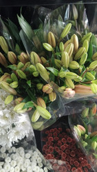 Grower's Bunch - Tiger Lilies | Fairdinks