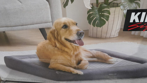 Kirkland Signature 2 in 1 Bolster Pet Bed 32" x 42" (81CM x 106CM) | Fairdinks