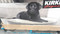 Kirkland Signature Round Pet Bed 42" (DIA 16CM) | Fairdinks