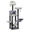 Catry Bradbury 7 Level All-in-1 Cat Tree | Fairdinks