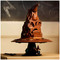 Lego Harry Potter Talking Sorting Hat | Fairdinks