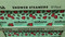 Anihana Shower Steamer 12 x 50G | Fairdinks