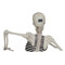 Giant Groundbreaker Skeleton With LCD Eyes & Sound | Fairdinks