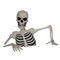 Giant Groundbreaker Skeleton With LCD Eyes & Sound | Fairdinks